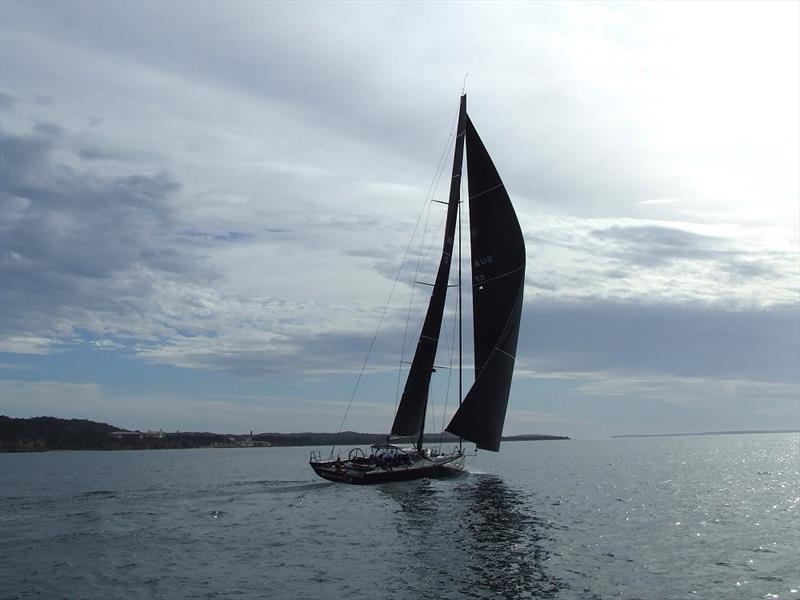 chinese whisper yacht