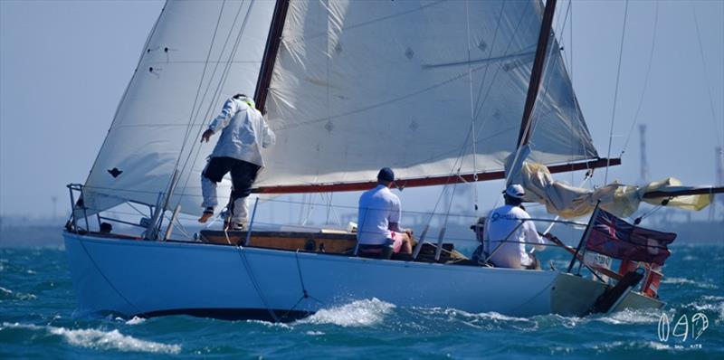 Timber Boat Festival at Moreton Bay - photo © Mitchell Pearson / SurfSailKite