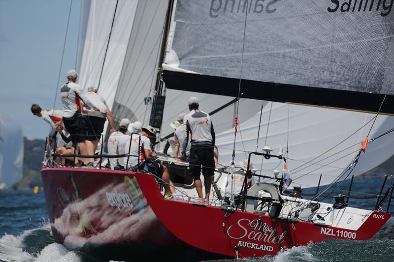 Miss Scarlet under spinnaker - SeaLink Magnetic Island Race Week 2017 - photo © Will Calver