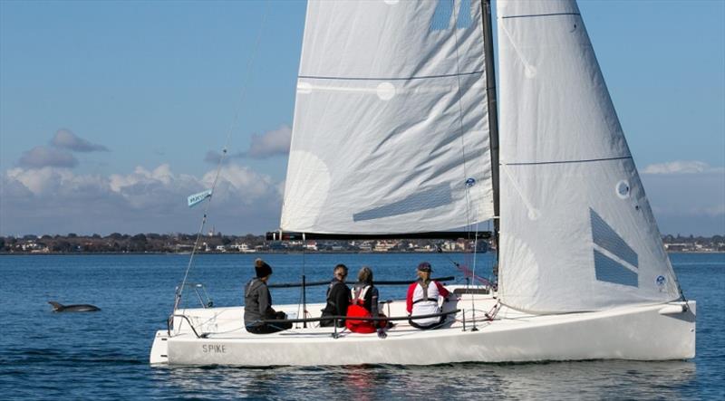 Dolphin entertainment pre-race photo copyright Bruno Cocozza taken at Royal Melbourne Yacht Squadron and featuring the IRC class