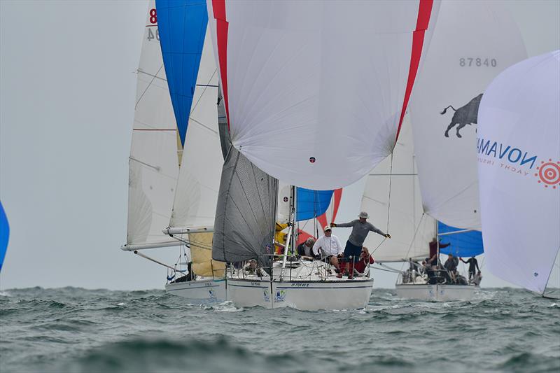 2018 Ullman Sails Long Beach Race Week - Day 2 photo copyright Tom Walker taken at Long Beach Yacht Club and featuring the IRC class