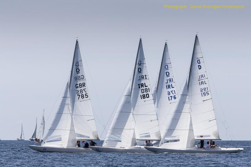 Dragons lining-up at the start on day 4 of 2018 Volvo Cork Week photo copyright David Branigan / www.oceansport.ie taken at Royal Cork Yacht Club and featuring the IRC class