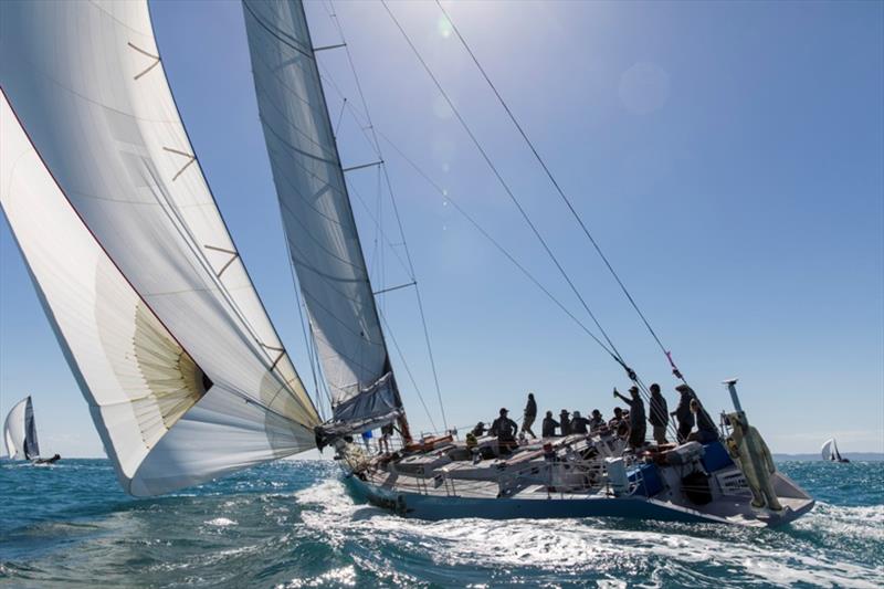 Hammer is crewed by some wiley ex skiff sailors photo copyright Andrea Francolini / ABRW taken at Whitsunday Sailing Club and featuring the IRC class