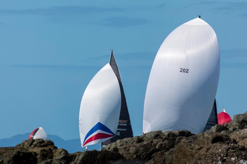 Reignition (202) and her followers photo copyright Andrea Francolini / ABRW taken at Whitsunday Sailing Club and featuring the IRC class