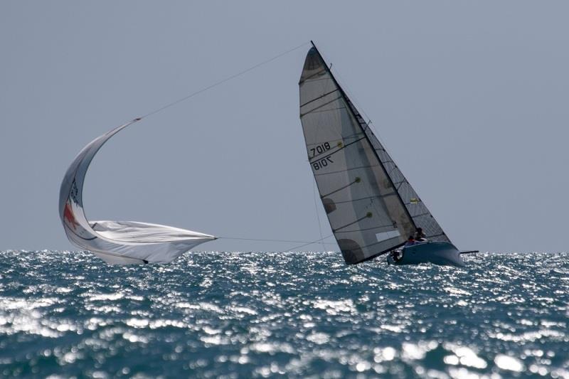 Martini - had one too many photo copyright Shirley Wodson taken at Whitsunday Sailing Club and featuring the IRC class