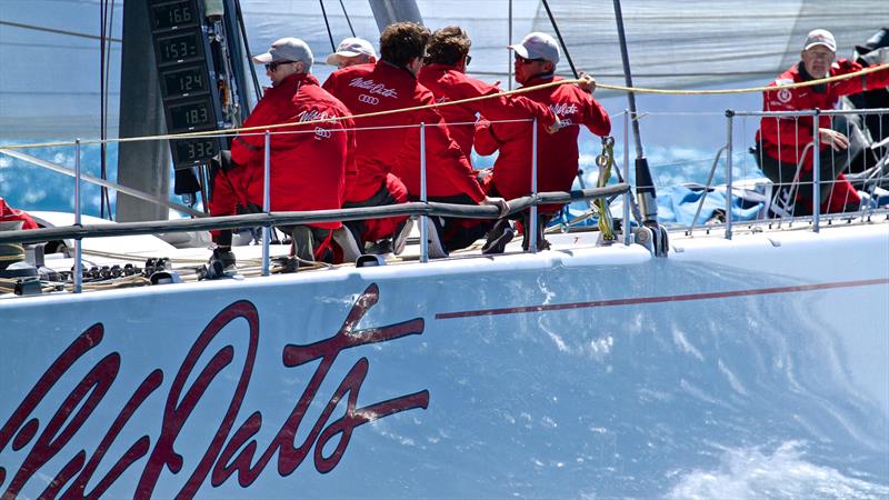 Wild Oats XI foredeck team discuss the gybe - Hamilton Island Race Week - Day 2 photo copyright Richard Gladwell taken at Hamilton Island Yacht Club and featuring the IRC class