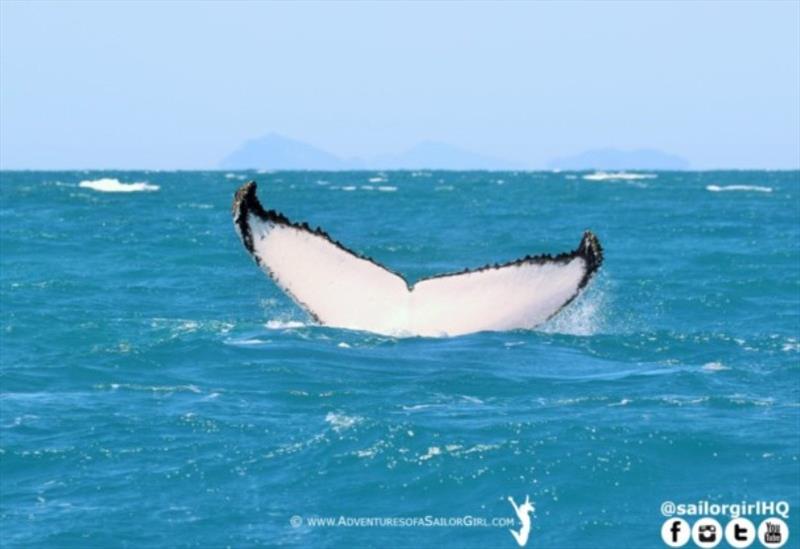 Hamilton Island Race Week - Day 3 - photo © Nic Douglass / www.AdventuresofaSailorGirl.com