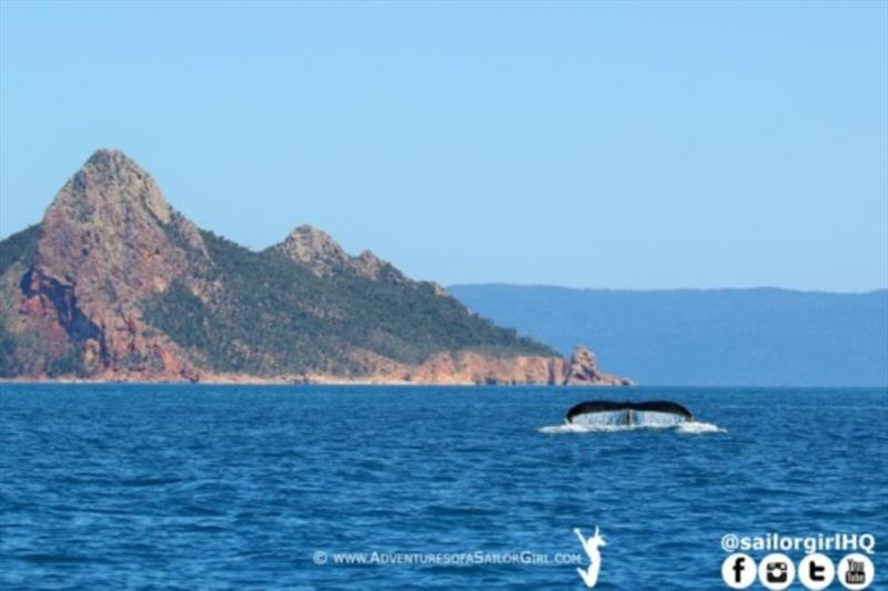 Day 4 - Hamilton Island Race Week photo copyright Nic Douglass / www.AdventuresofaSailorGirl.com taken at Hamilton Island Yacht Club and featuring the IRC class