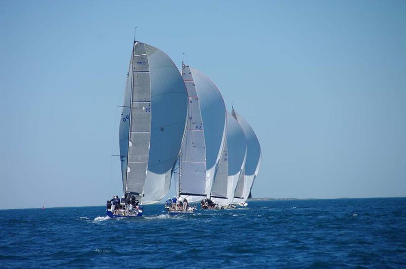 Fleet with spinnakers - photo © Suzzi Ghent