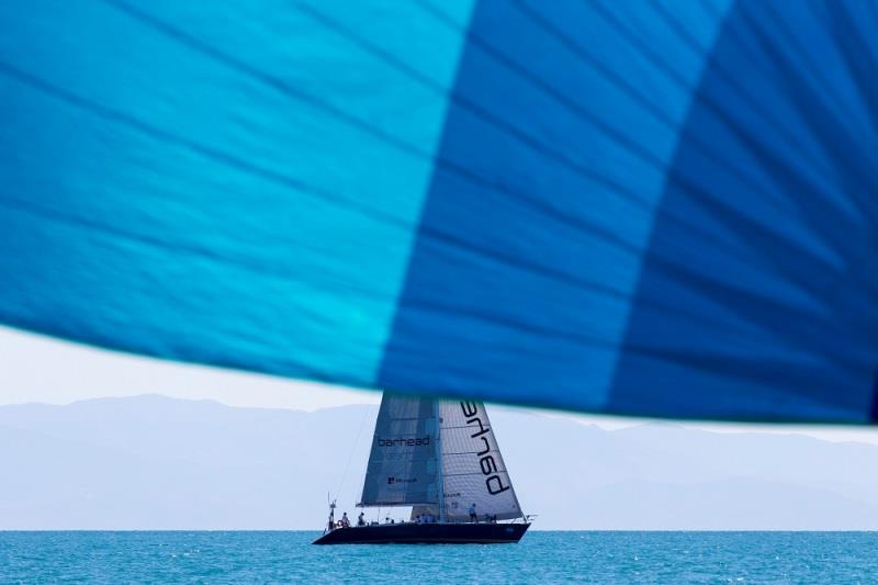 Pilgrim under the veil of secrecy photo copyright Andrea Francolini / SMIRW taken at Townsville Yacht Club and featuring the IRC class