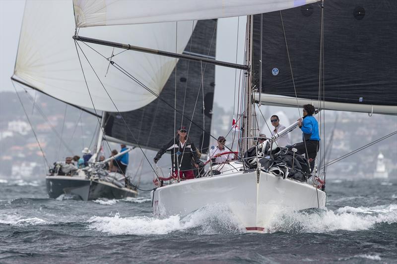 Conspiracy, Peter Byford & David Hudson's Sydney 38 will be aiming to return serve on Jack Stening's Stormaway in IRC Division 2 at this year's SSORC photo copyright Andrea Francolini taken at Middle Harbour Yacht Club and featuring the IRC class