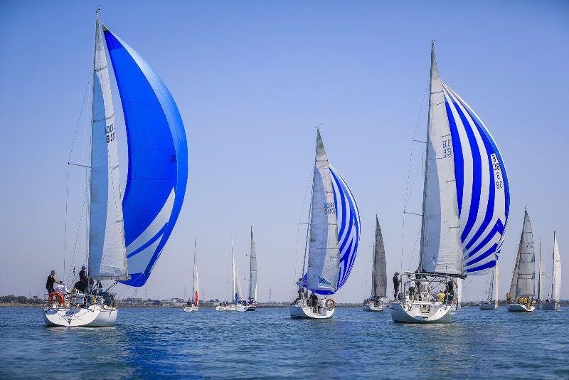 2018 Festival of Sails photo copyright Salty Dingo taken at Royal Geelong Yacht Club and featuring the IRC class