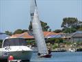 Racing took place in close quarters inside Coorong Quays Hindmarsh Island - Goolwa Regatta Week 2019 © Chris Caffin, Canvas Sails