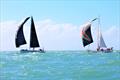 2019 Quicksilver Port Douglas Race Week © Robyn Shelly