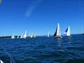 Whidbey Island Race Week 2019 © Event Media