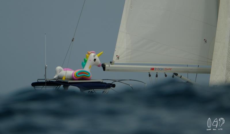 2019 Bartercard Sail Paradise Regatta, Day 4 - photo © Mitchell Pearson / SurfSailKite