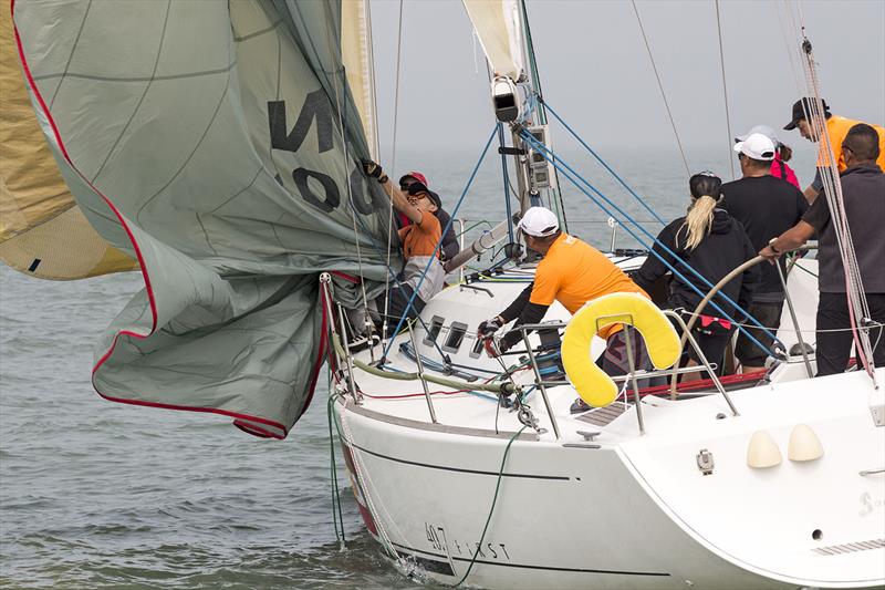 Macau Cup and Greater Bay Cup 2019. 219 Discover Sailing Asia photo copyright Guy Nowell taken at  and featuring the IRC class