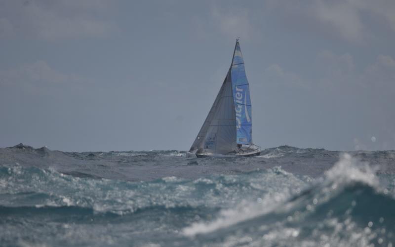 A 100% female “Surprise” crew in The Round Martinique Regatta photo copyright Event Media taken at  and featuring the IRC class