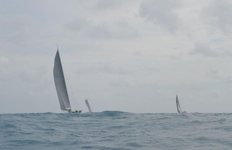 2019 Pineapple Cup - Montego Bay Race photo copyright Julianna Barbieri taken at Storm Trysail Club and featuring the IRC class