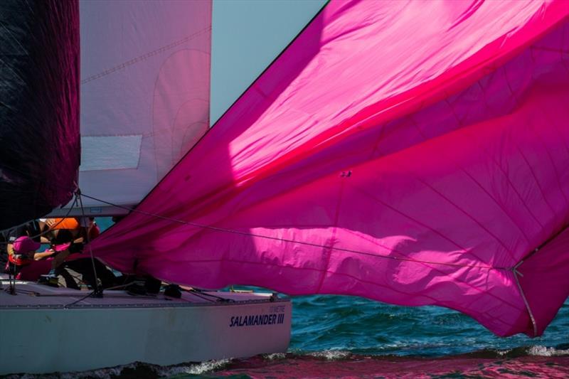 Monica Jone's crew works hard to pull the spinnaker in - Jennifer Goldsmith Trophy, Port Phillip Women's Championship Series - photo © Bruno Cocozza