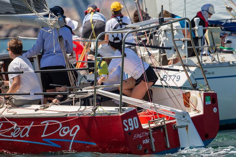 Action stations in the Jennifer Goldsmith Trophy on 3 February  photo copyright Bruno Cocozza taken at Sandringham Yacht Club and featuring the IRC class