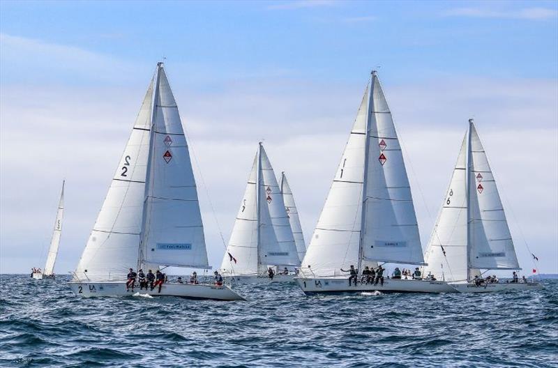 2018 Port of Los Angeles Harbor Cup, Day 3 photo copyright Bronny Daniels / Joy Sailing taken at Los Angeles Yacht Club and featuring the IRC class