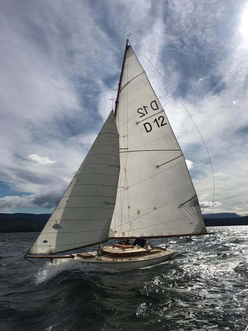 One of the seven Derwent class yachts which will contest their ‘World Championship' on the Rive Derwent on Sunday photo copyright Ollie McKay taken at  and featuring the IRC class