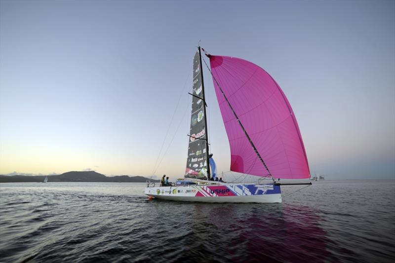 The Round Martinique Regatta 2019 photo copyright Robert Charlotte taken at  and featuring the IRC class