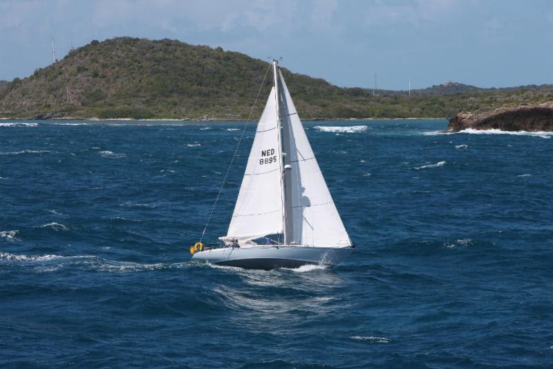 Smallest yacht in the race - Two Handed Johannes Gerssen's Olson 35 Cabbyl Vane (NED) - RORC Caribbean 600, Day 2 - photo © Tim Wright / www.photoaction.com