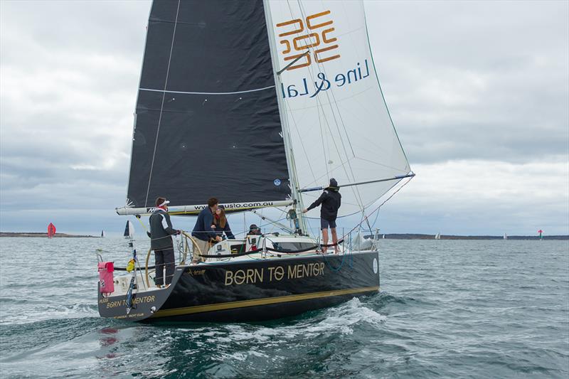 Simon Turvey's Born to Mentor had a great day yesterday with an AMS win - 2019 Teakle Classic Lincoln Week Regatta - photo © Take 2 Photography