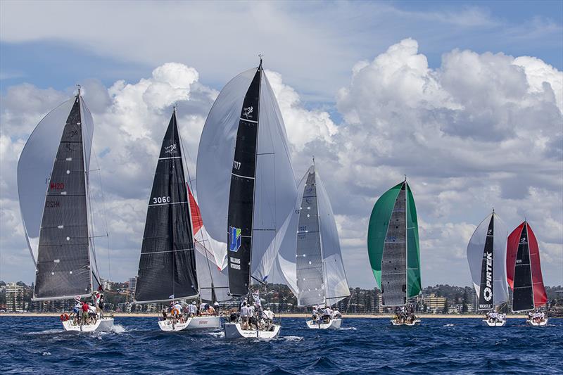 Downhill in the moderate breeze - 2019 Sydney Harbour Regatta - photo © Andrea Francolini