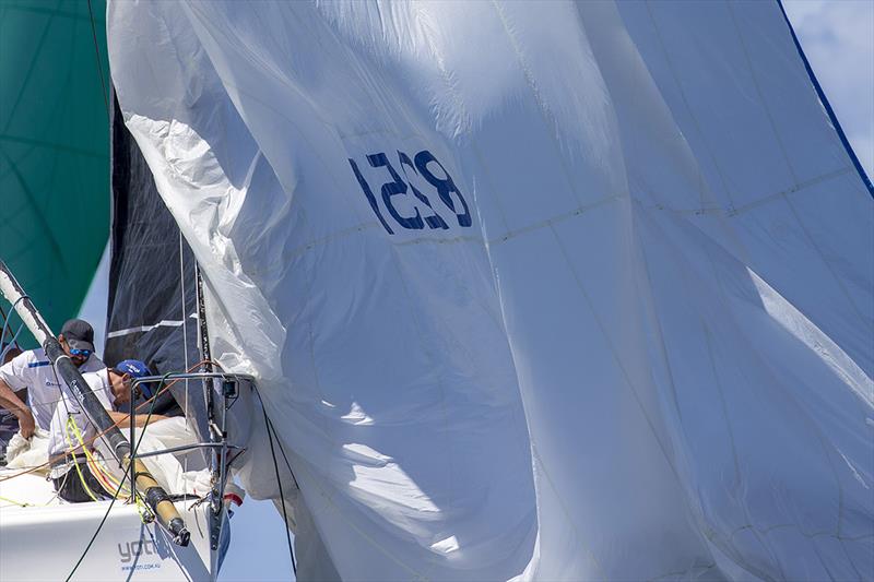 Pulling the kite down - 2019 Sydney Harbour Regatta - photo © Andrea Francolini