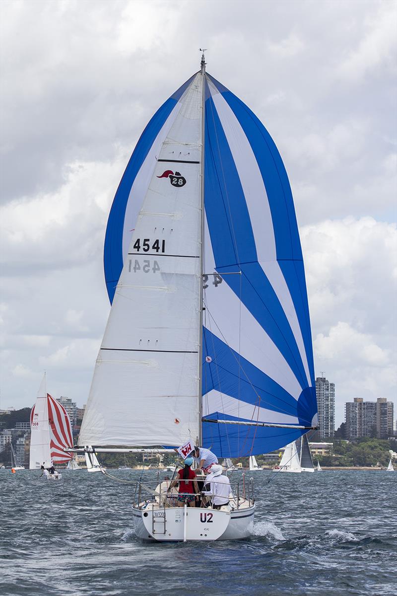 U2 is leading the Cavalier 28 NSW Championship - 2019 Sydney Harbour Regatta photo copyright Andrea Francolini taken at Middle Harbour Yacht Club and featuring the IRC class
