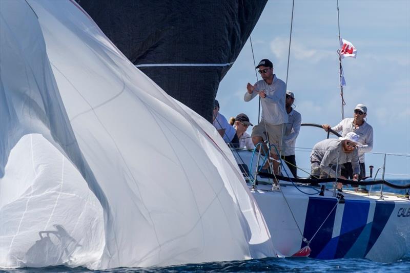 Calibre kite drop - Sydney Harbour Regatta 2019 - photo © Andrea Francolini