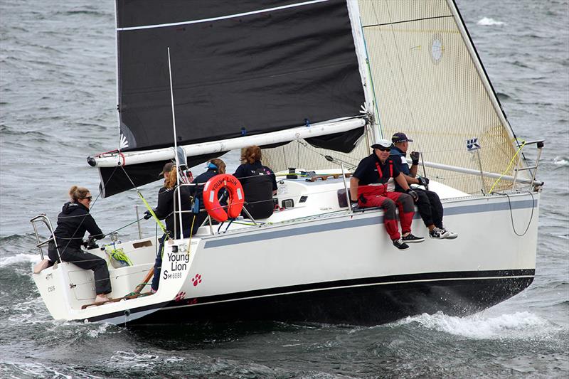 2019 Combined Clubs Summer Pennant Race - Young Lion (Steve Chau) heads the IRC category on Division 3 in the Summer Pennant photo copyright Peter Watson taken at  and featuring the IRC class