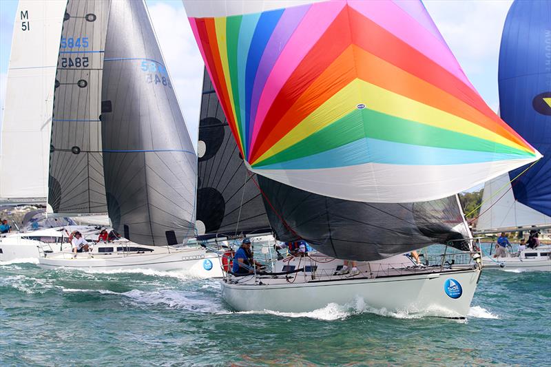 Botany Access Cocomo (furthest left) wins the Non-spin division - Commodore's Cup - photo © Mark Rothfield