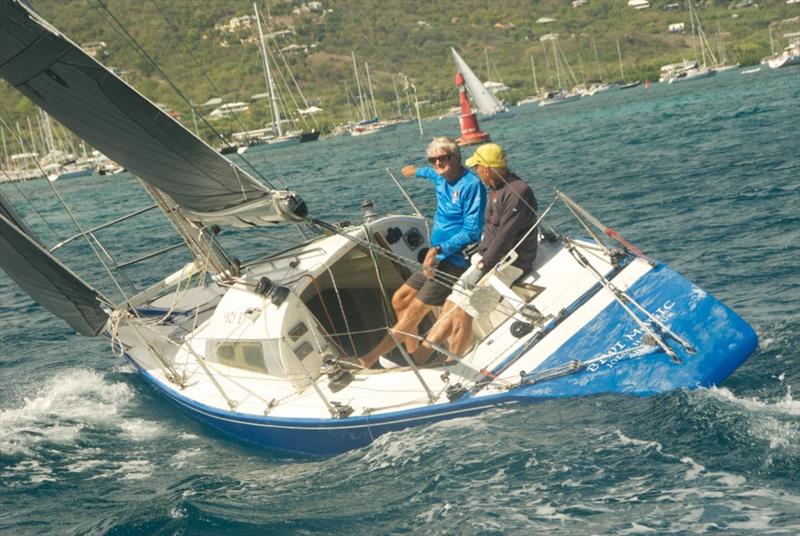 Geoffrey Pidduck's 1989 Six Metre Biwi Magic - Antigua Classic Yacht Regatta 2019 photo copyright Ed Gifford taken at Antigua Yacht Club and featuring the IRC class