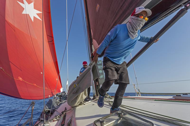 RHKYC Puerto Galera Race 2019 - photo © Guy Nowell / RHKYC