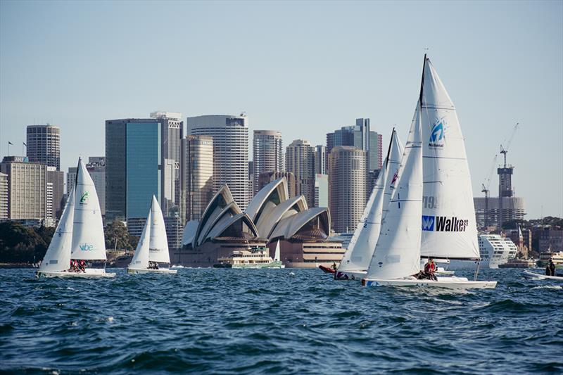 NSL fleet and the Sydney Opera House - 2019 National Sailing League Final - Day 2 - photo © Darcie Collington Photography