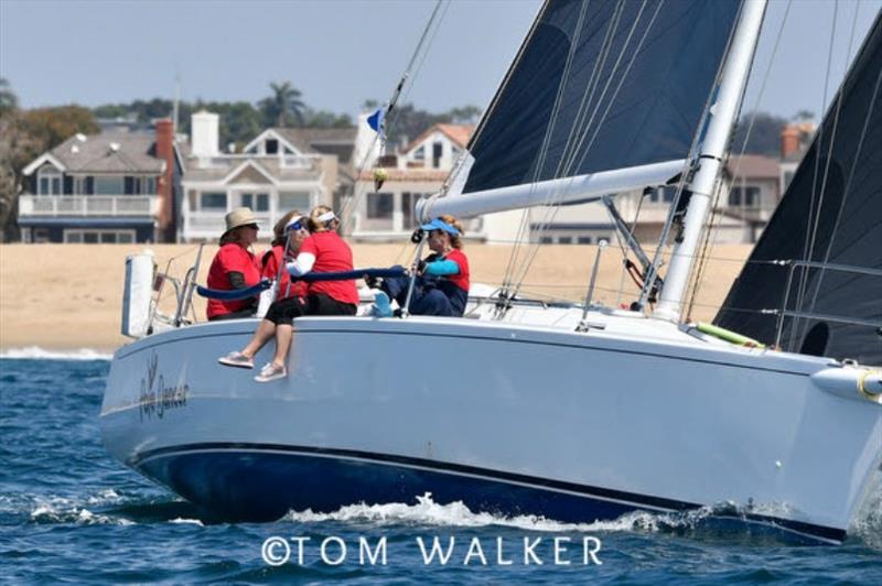 Newport to Ensenada International Yacht Race 2019 - photo © Tom Walker