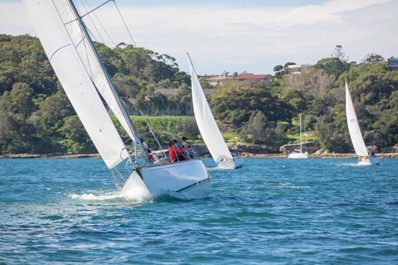 2019 Great Veterans Race - Caprice of Huon photo copyright Hamish Hardy taken at Cruising Yacht Club of Australia and featuring the IRC class