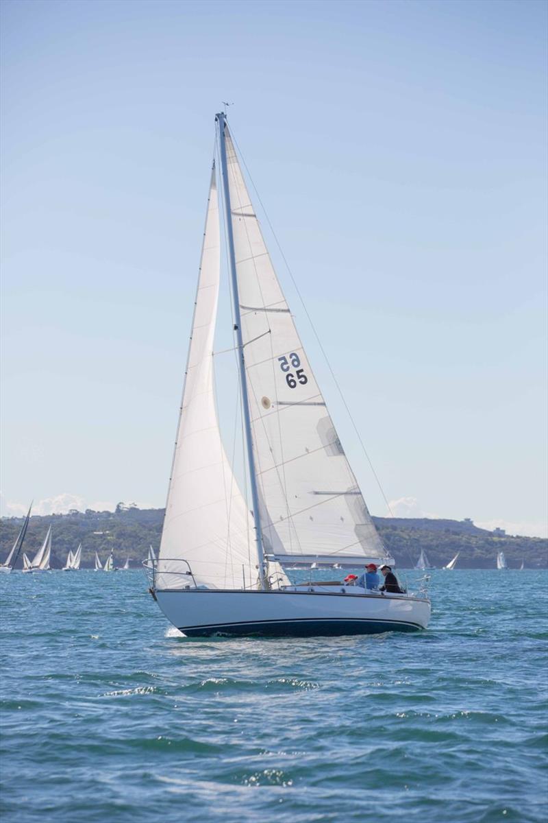 2019 Great Veterans Race - Caprice of Huon photo copyright Hamish Hardy taken at Cruising Yacht Club of Australia and featuring the IRC class