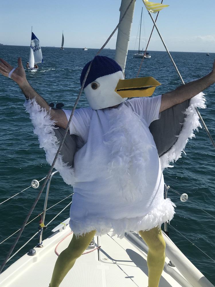 Hot Chipps' mascot Salty - SeaLink Magnetic Island Race Week photo copyright John Chipp taken at Townsville Yacht Club and featuring the IRC class
