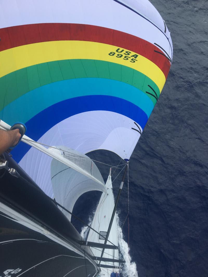 Aloft view of Merlin's famous spinnaker, now known as the `Rainbow Warrior` - Transpac 50 photo copyright Merlin taken at Transpacific Yacht Club and featuring the IRC class