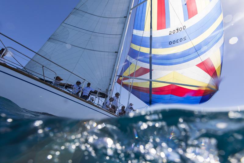 Bow down on Oasis - Airlie Beach Race Week photo copyright Andrea Francolini taken at Whitsunday Sailing Club and featuring the IRC class