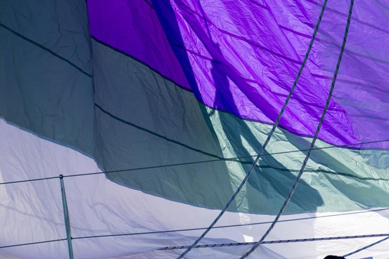 A little 'Indulgence' behind the kite - Airlie Beach Race Week 2019 photo copyright Andrea Francolini taken at Whitsunday Sailing Club and featuring the IRC class