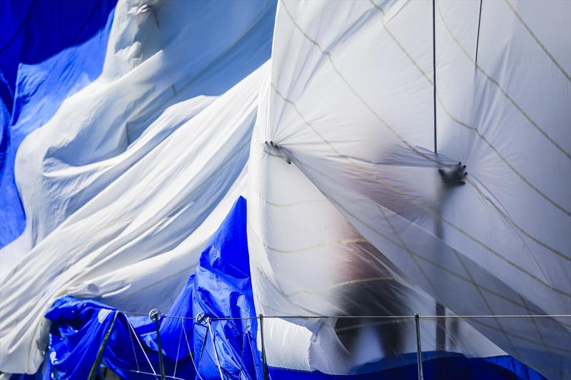 Hamilton Island Race Week - Day 2 - August 19, 2019 - photo © Craig Greenhill / Saltwater Images