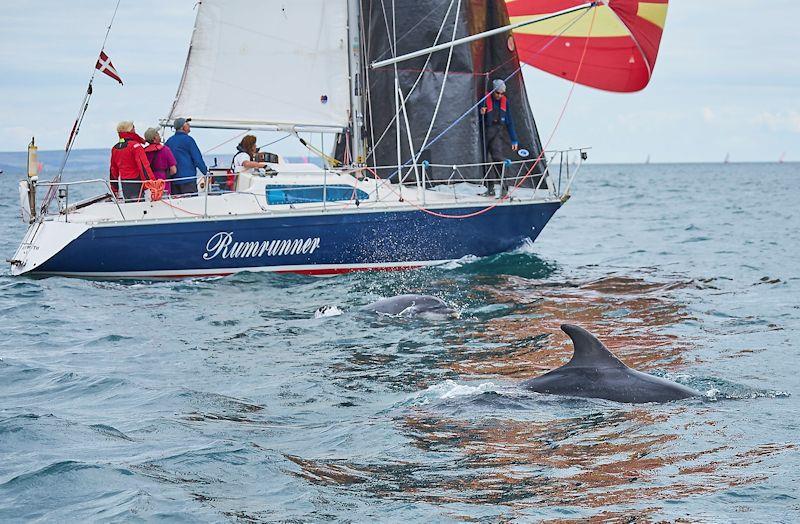 Rumrunner dolphins in the Why Boats Weymouth Regatta photo copyright Louis Goldman / www.louisgoldmanphotography.com taken at Weymouth Sailing Club and featuring the IRC class