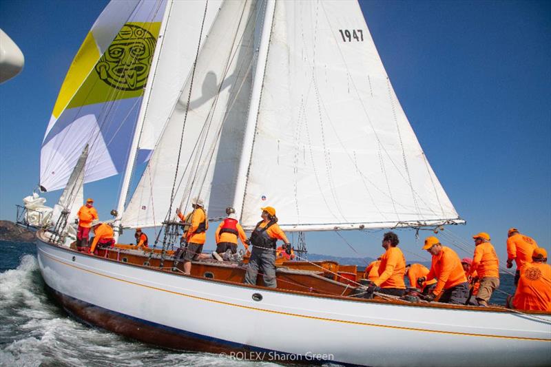 Mayan's crew dialing their downwind set - 2019 Rolex Big Boat Series - photo © Rolex / Sharon Green