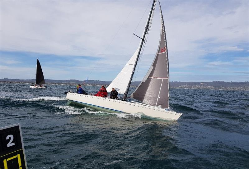 Checking out the start line - Waitangi Cup 2019 photo copyright Catherine Rofe taken at Middle Harbour Yacht Club and featuring the IRC class